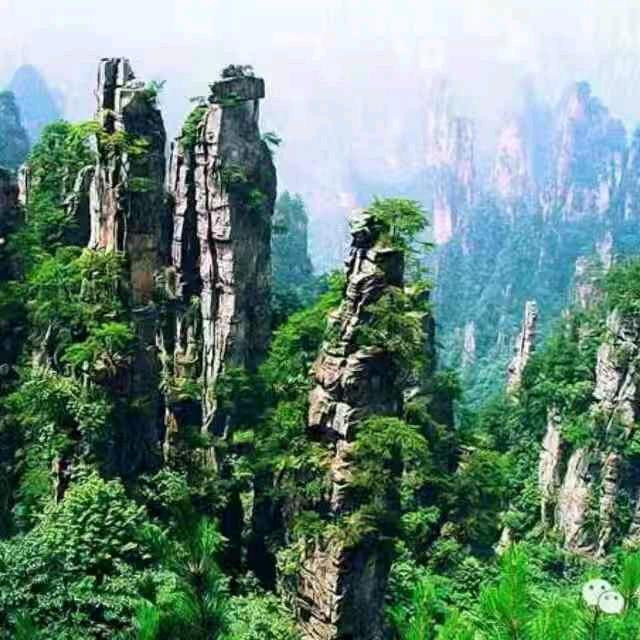 静心