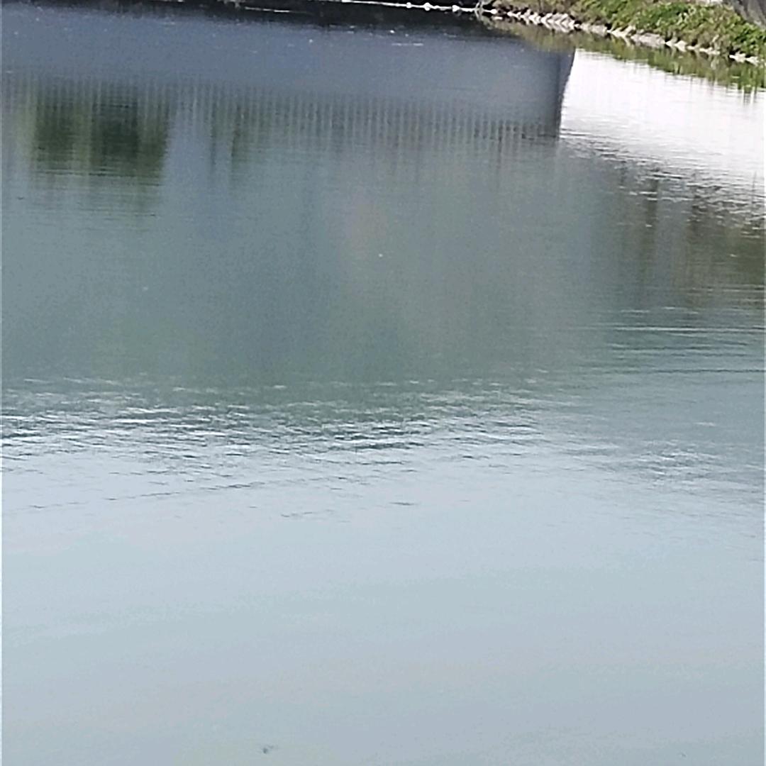 白云☁️