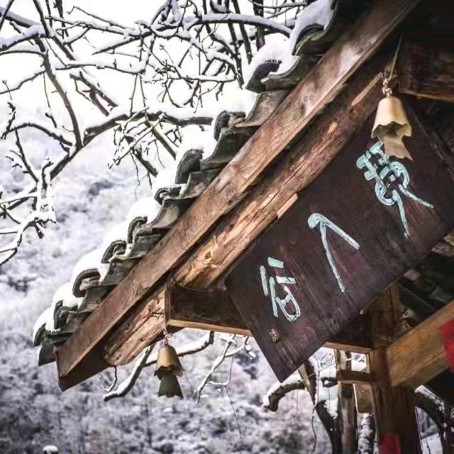 琴人谷