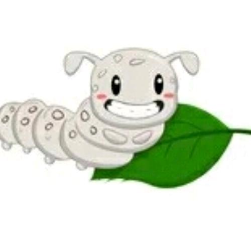 白蚕豆笔