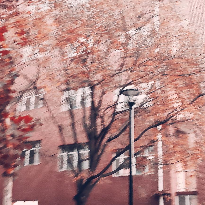 右眼