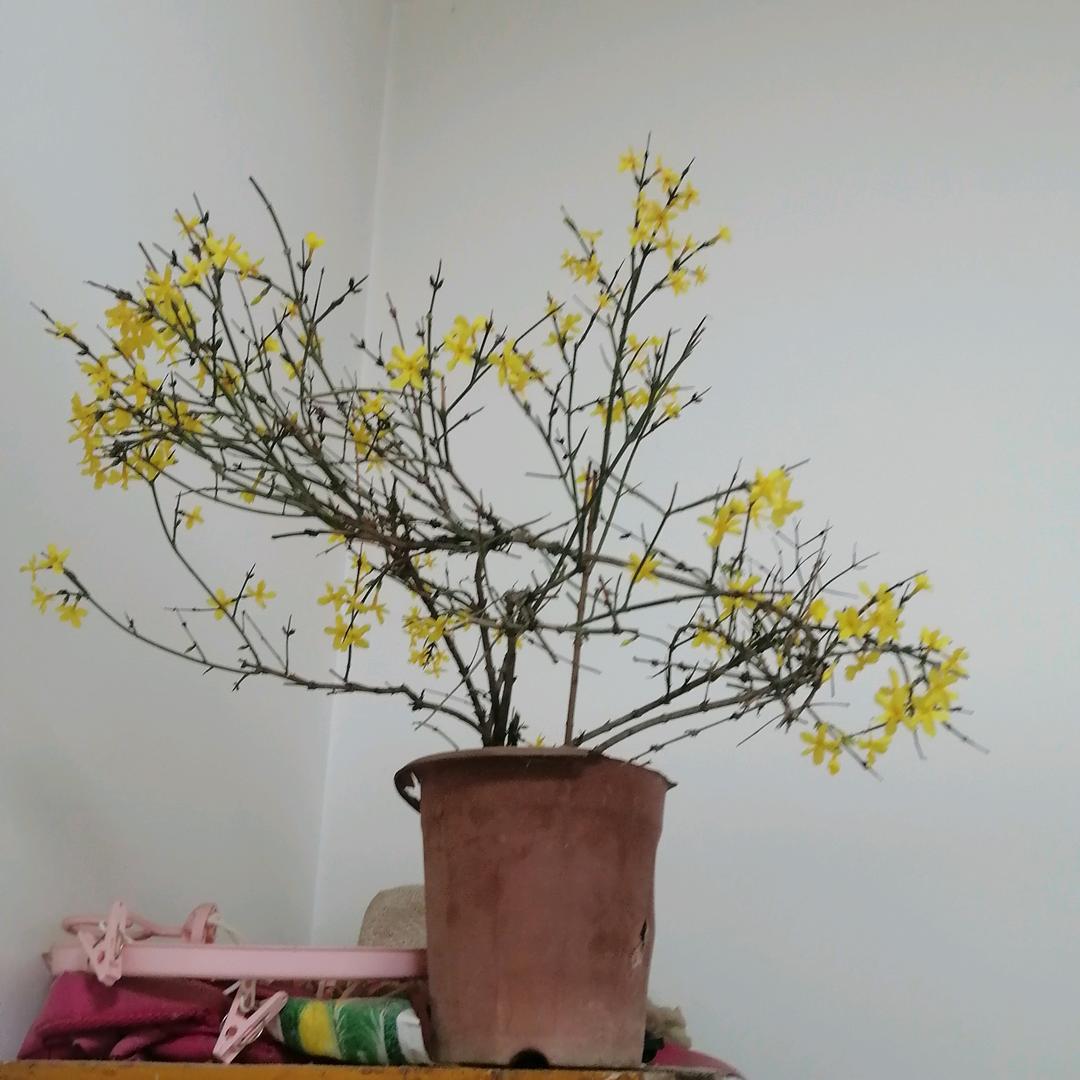 吹佛过的夏天