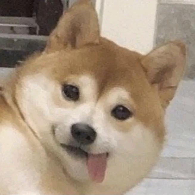 互联网小狗