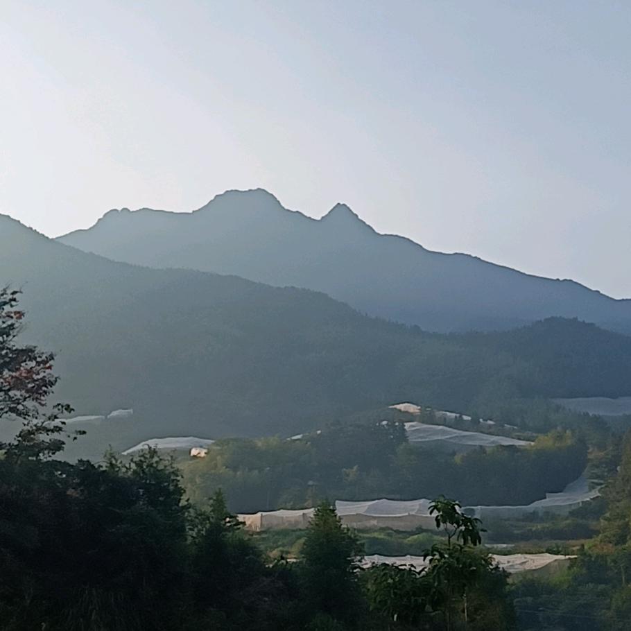 心安