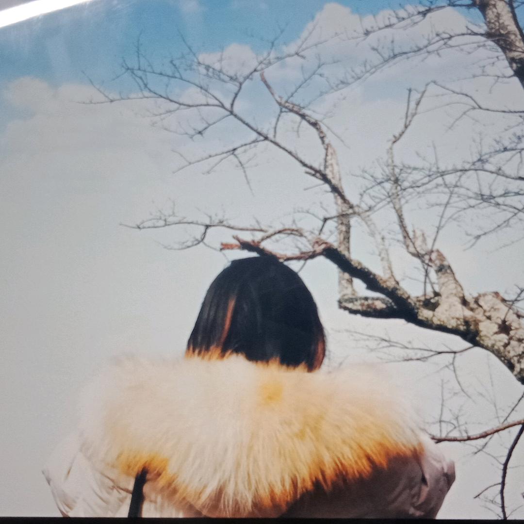 仇家大小姐