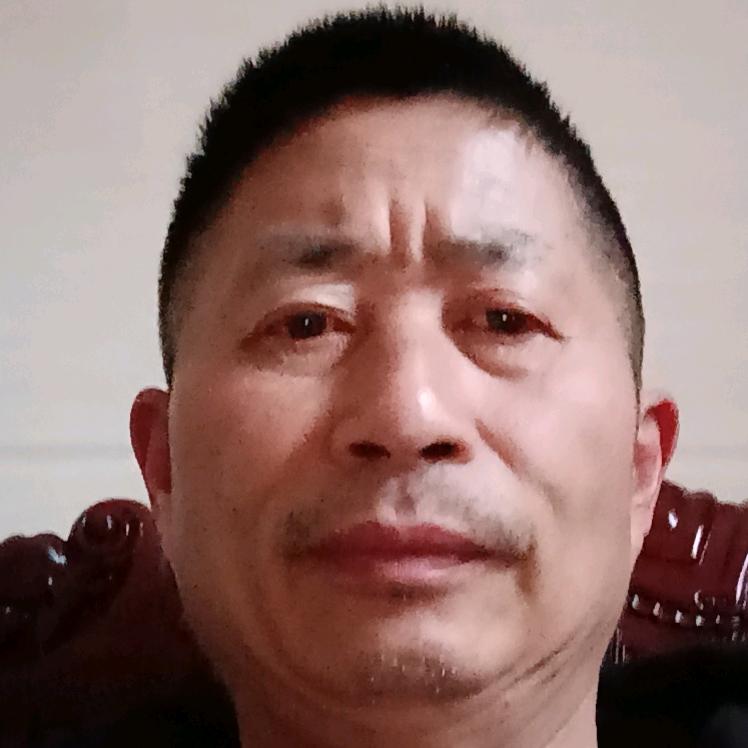 陈阿利