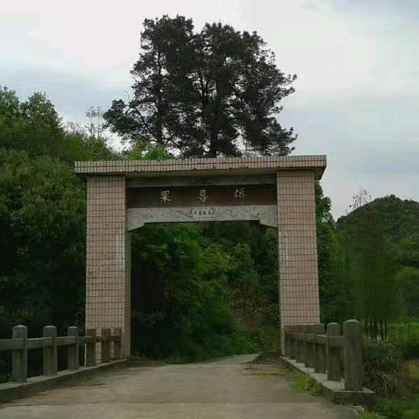 抚州市东乡区东硕电脑科技经营部