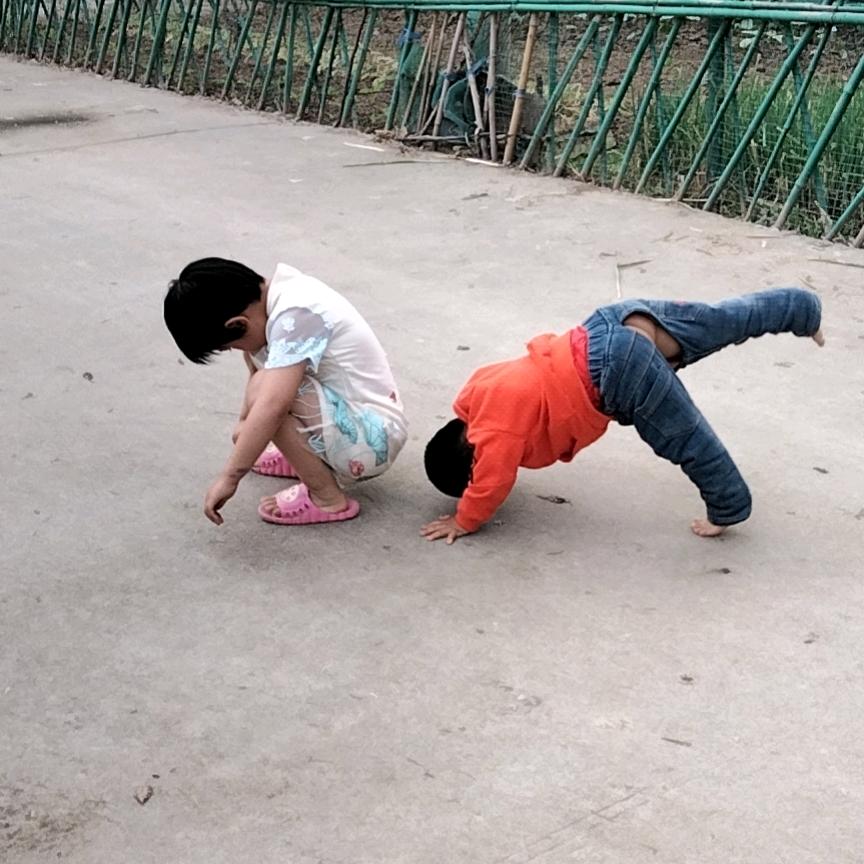 家有儿女🐑🐷