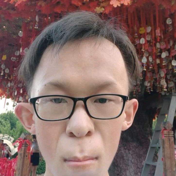 四个二带俩王