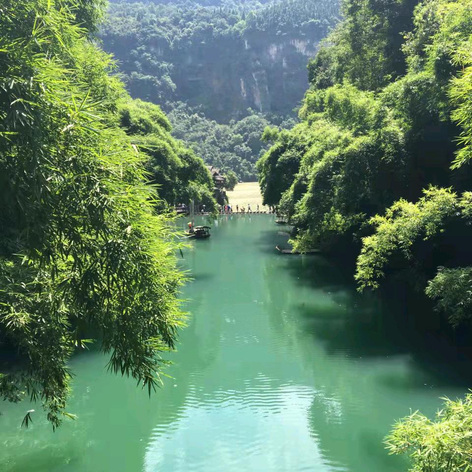 开心（拒绝连赞）