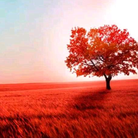 🇨🇳～云飞扬～