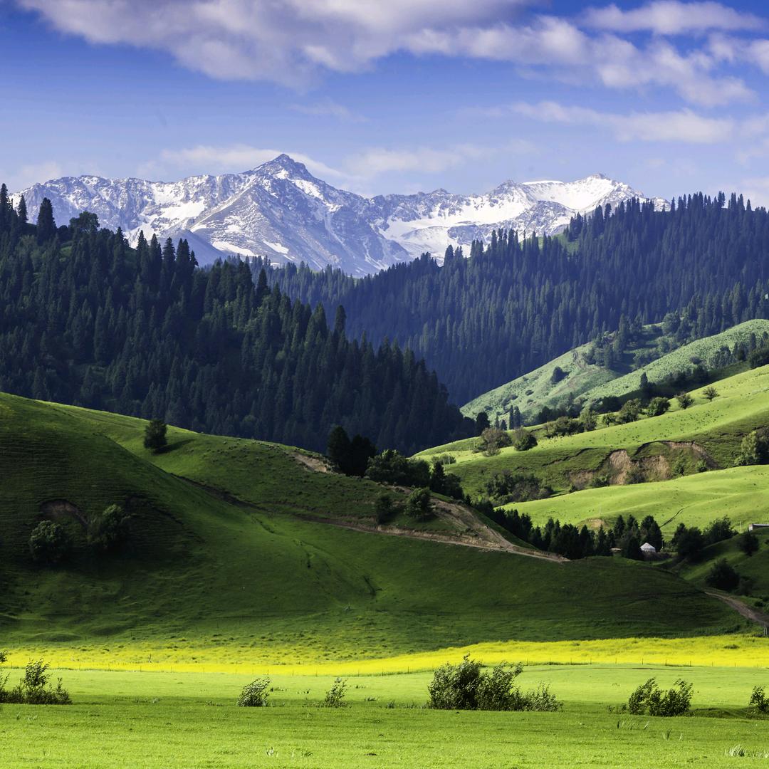 吹大炮的小王子