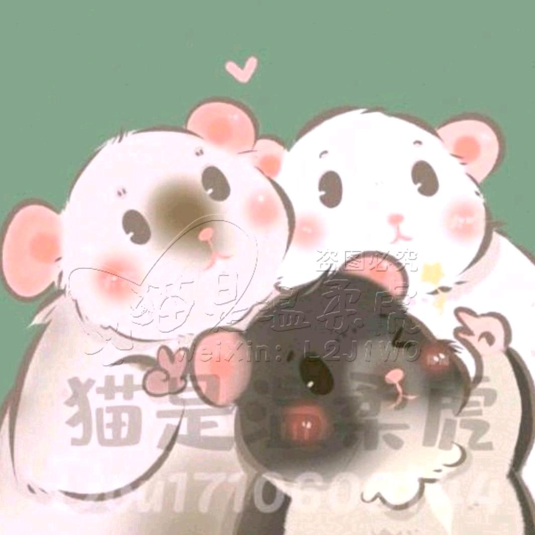 🐀猫是温柔虎