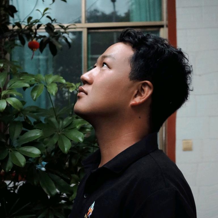 我只是个小丑