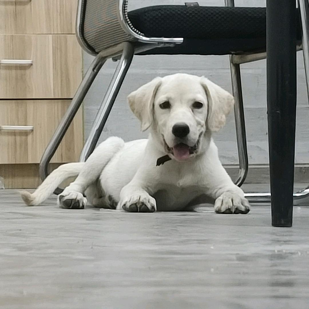 和雅运动瑜伽馆