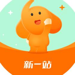 新一站保险