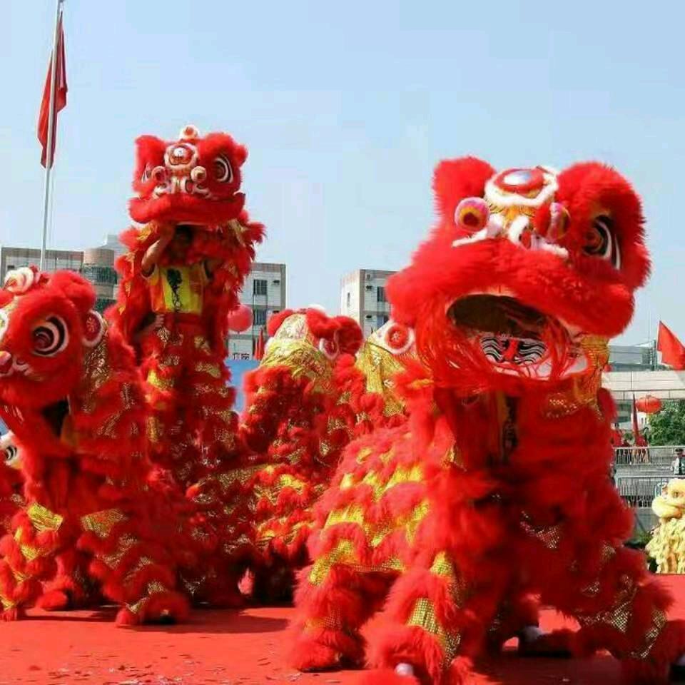 新乡富顺舞狮团（小白狮）