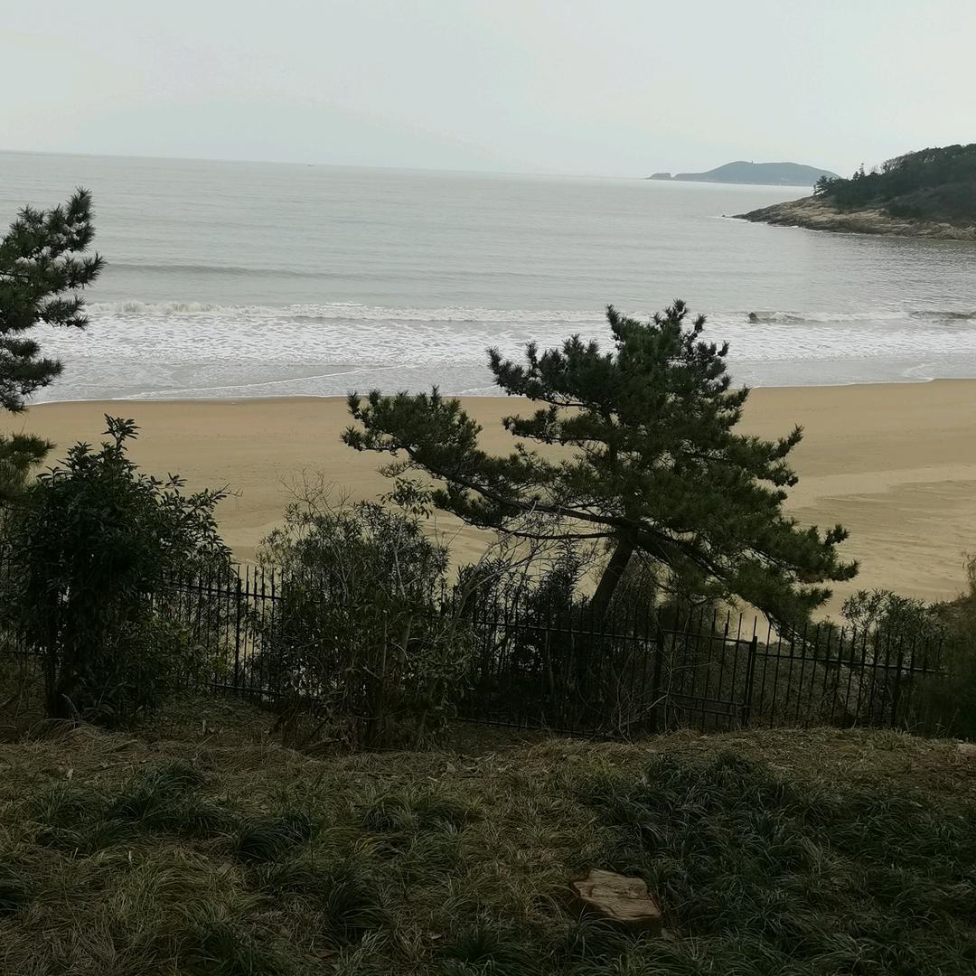 凡达