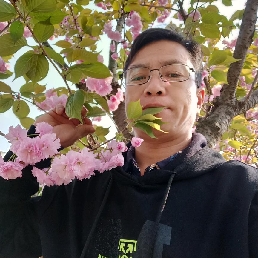 单身一人到处浪