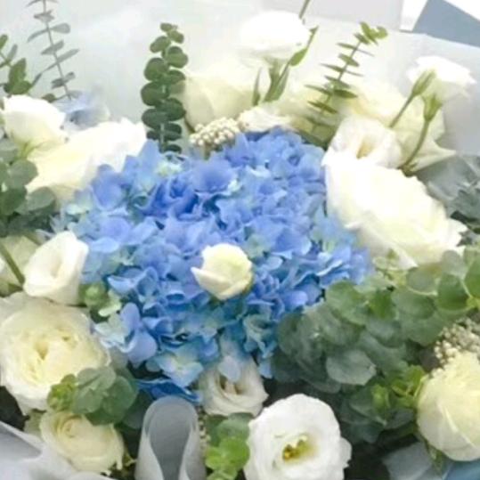 阜宁名花识主花艺