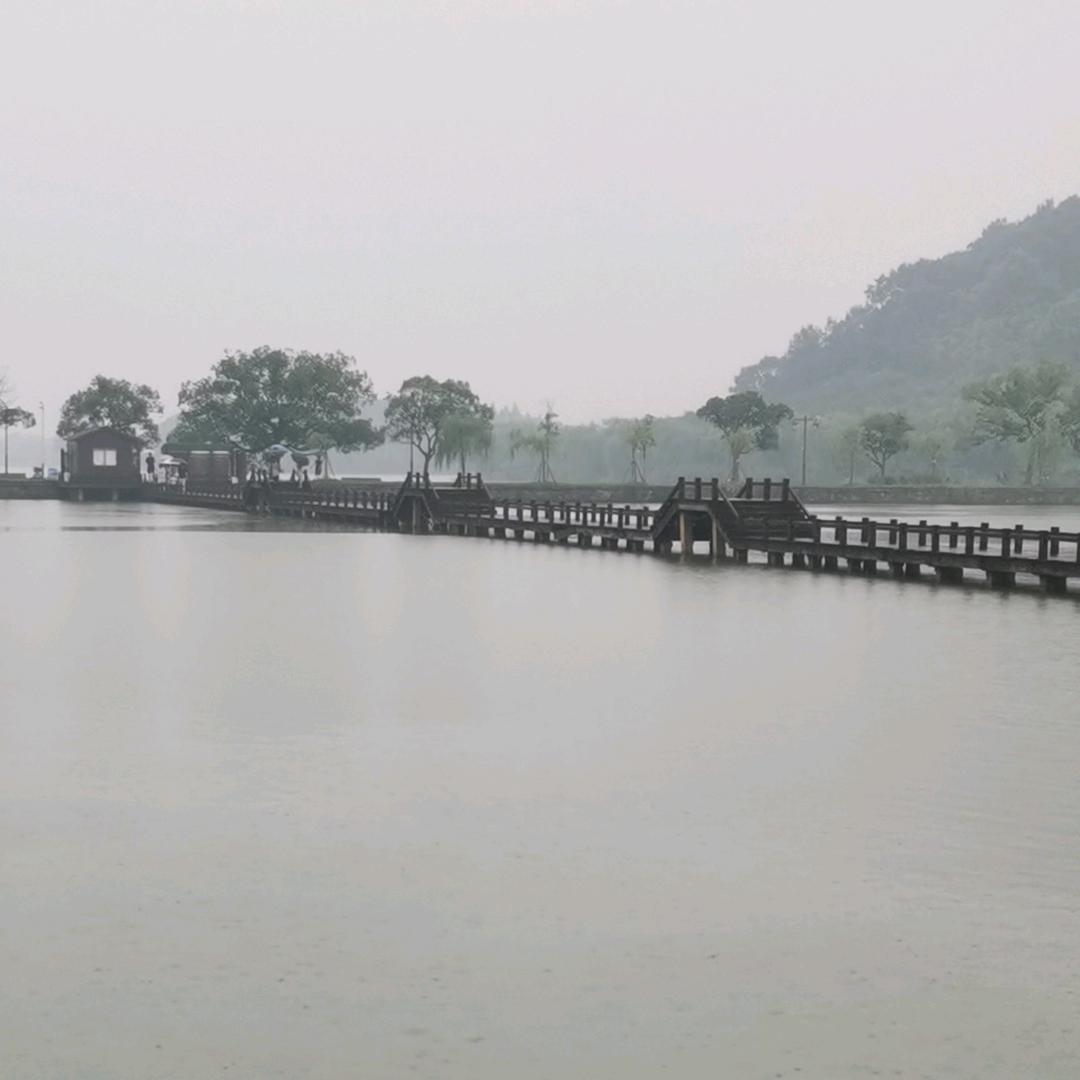 想飞的鱼@