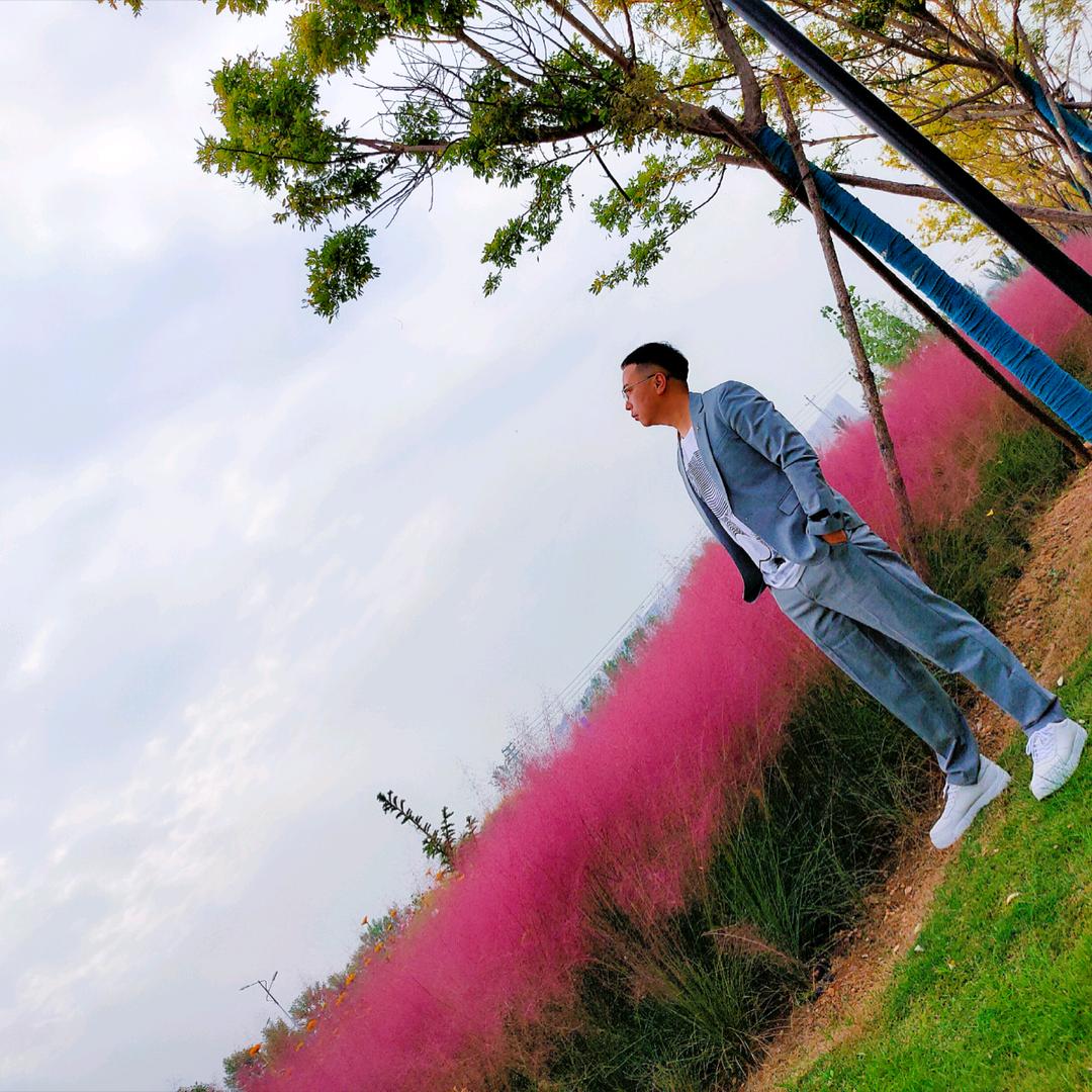 给我一个阿拉丁