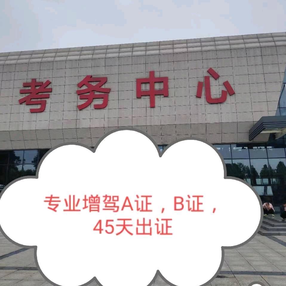 杜朝阳