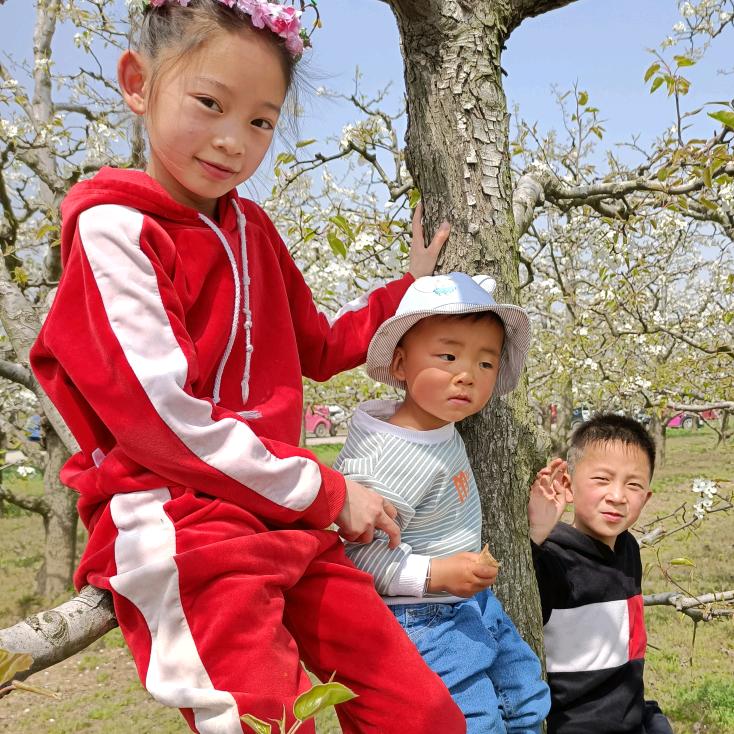 平安是福林娜