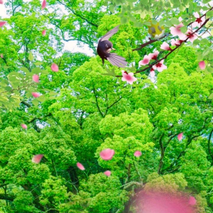 忘不了的回忆