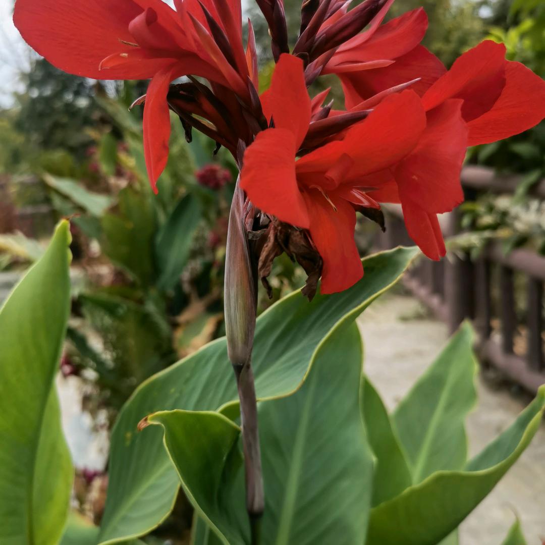 惩恶扬善，捍卫尊严