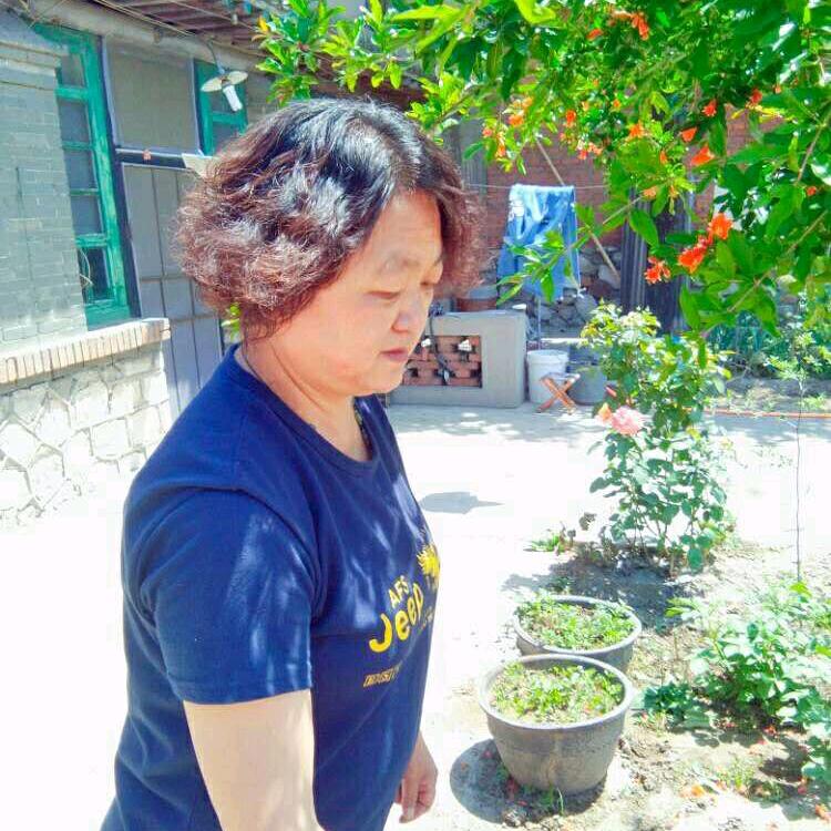 不离不弃1