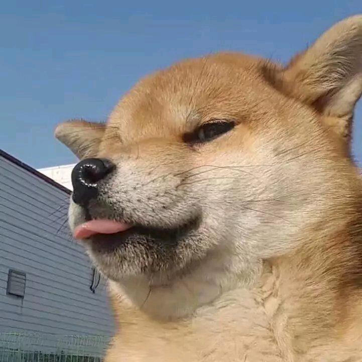 小七777
