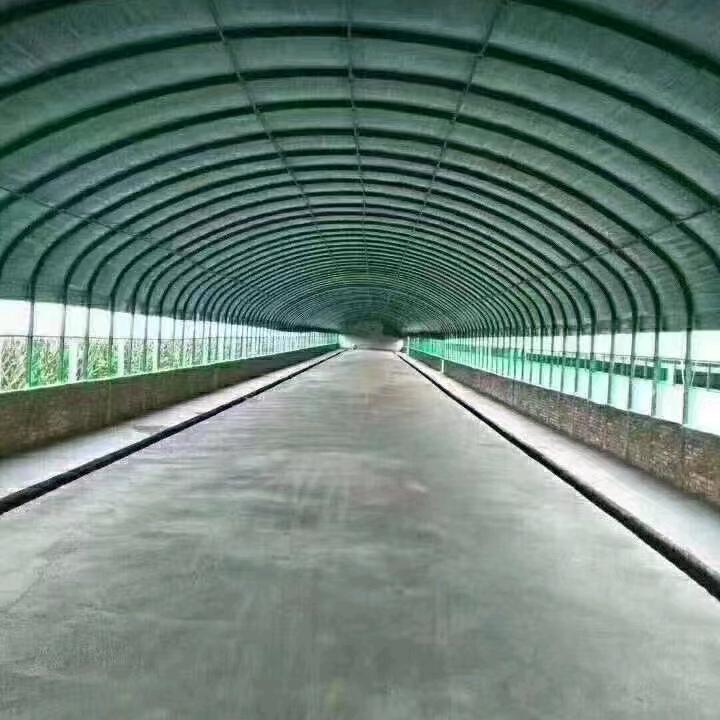 全国承建大棚张倗