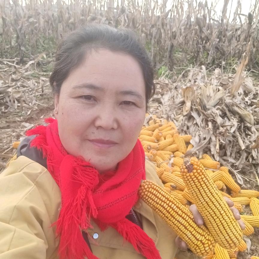 一枝寒梅《长子红娘给单身男女牵线搭桥🌹