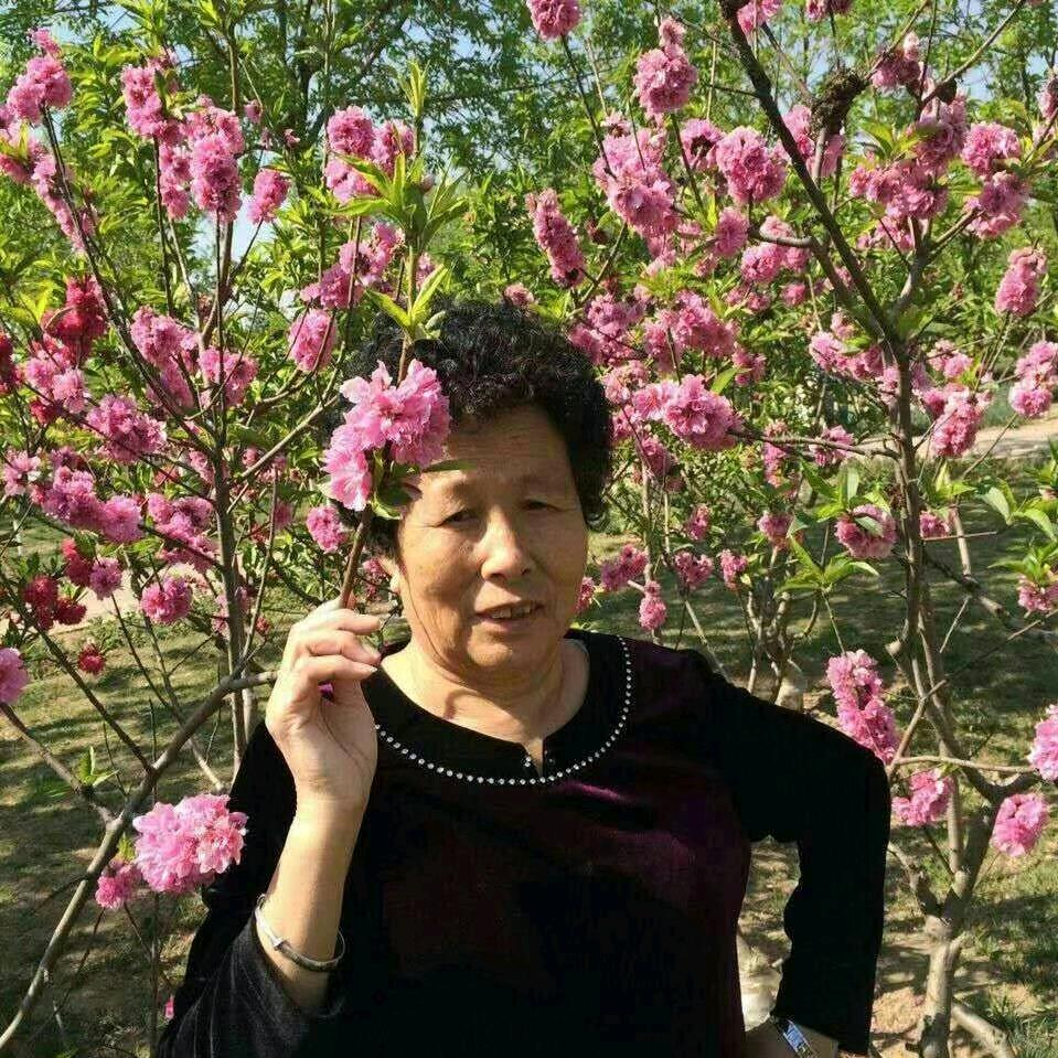 珍珠的味道