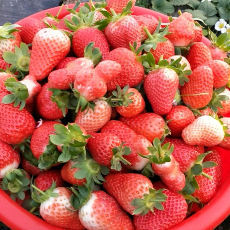 我的🥕眼里只有你🤪