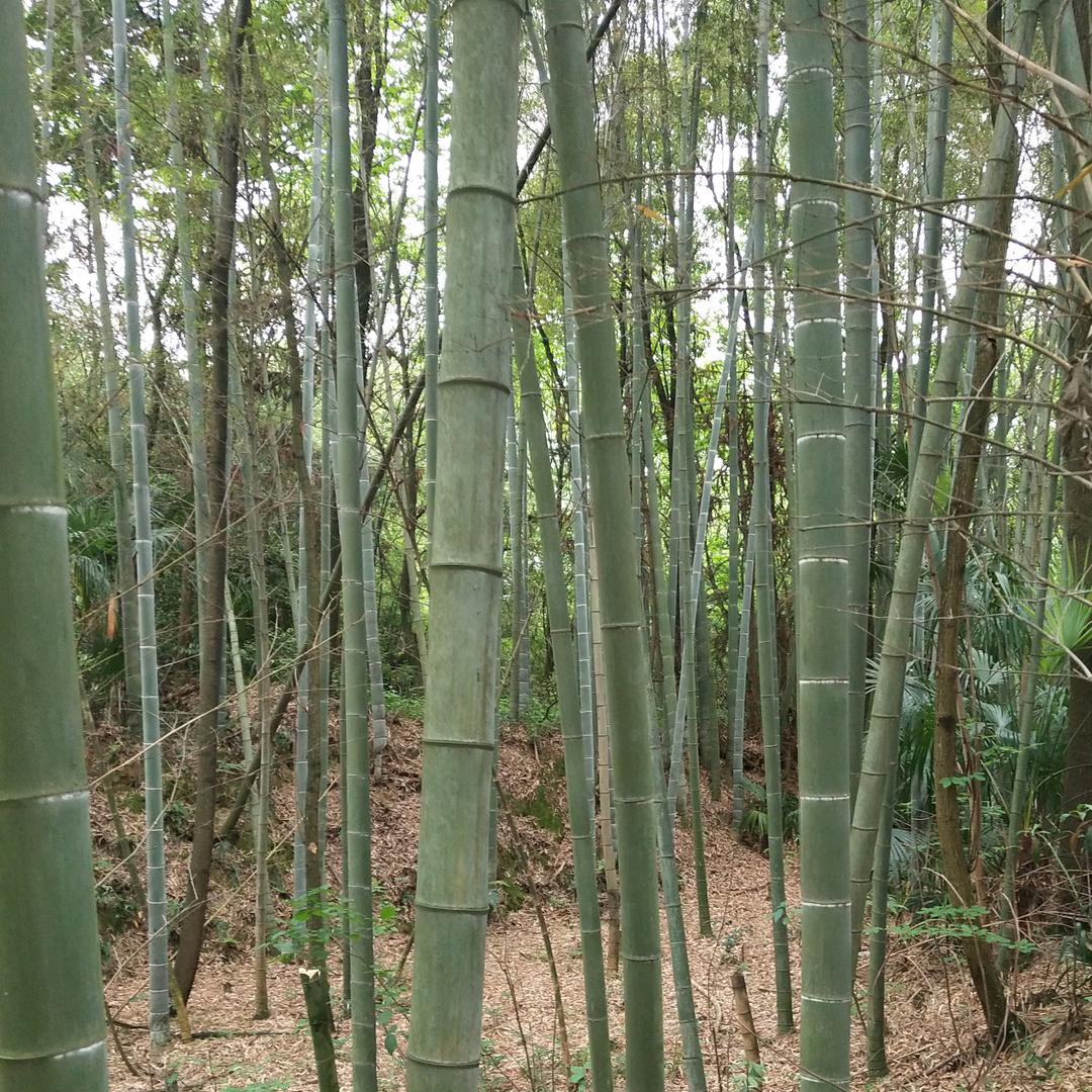 翦翰骁莫溪峪臻选阁