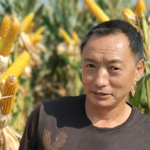 农业集团 何华坤