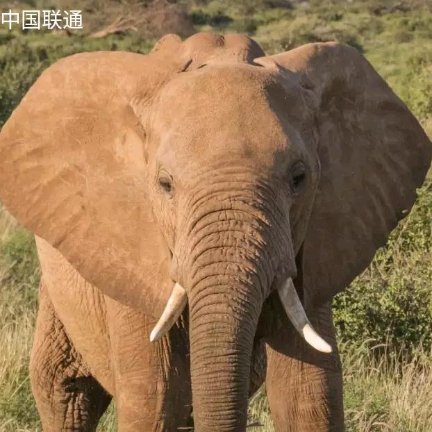 养生从日常生活开始