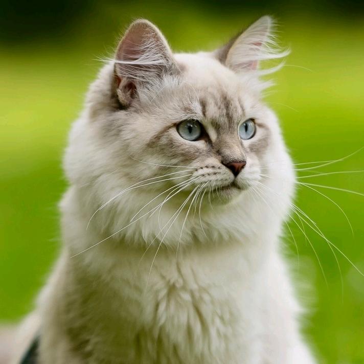 路上见识世界，途中认清自己