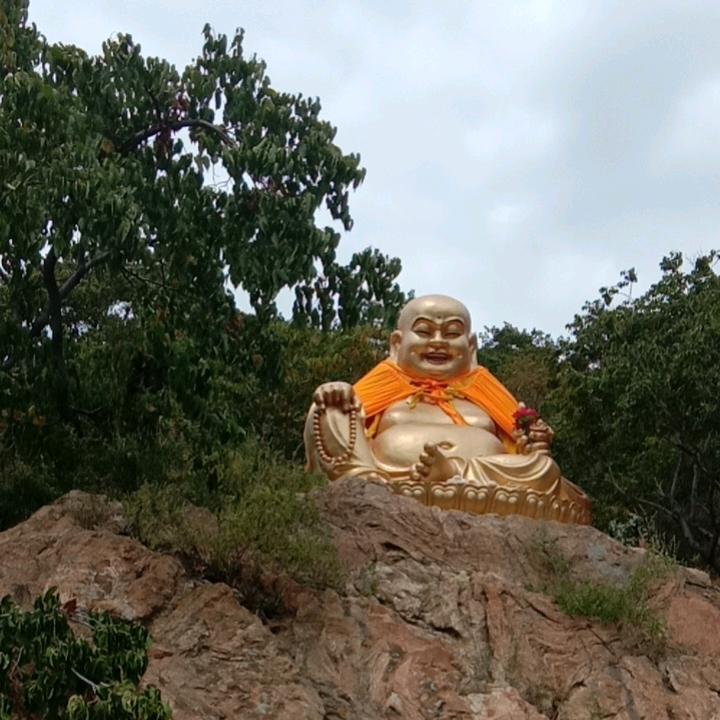 慧善