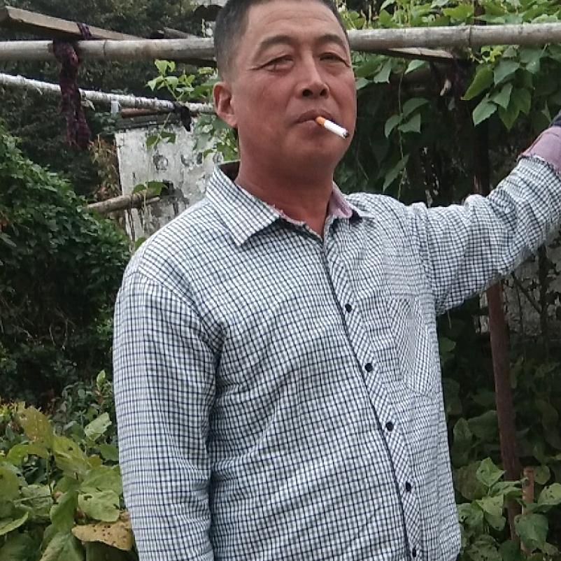 老张建发金潮篷布店