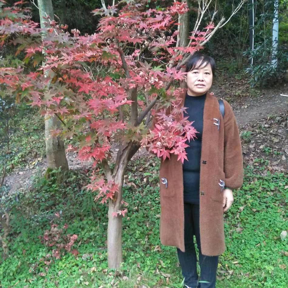 蔡小贞