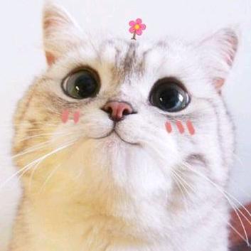 暖爱