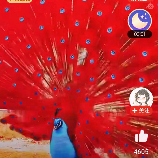 一生平安