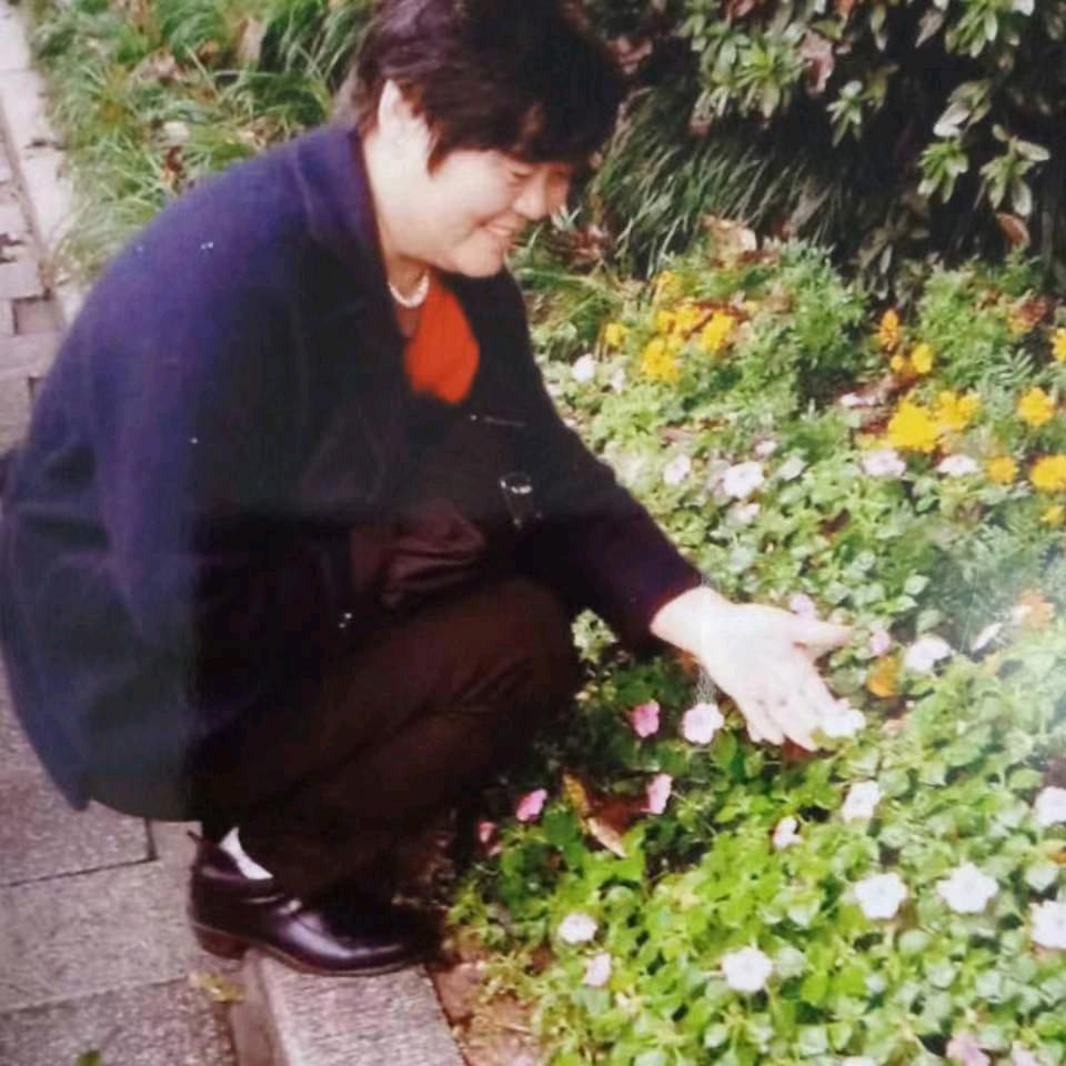 十月梅