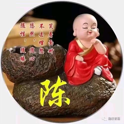 琦哥加油