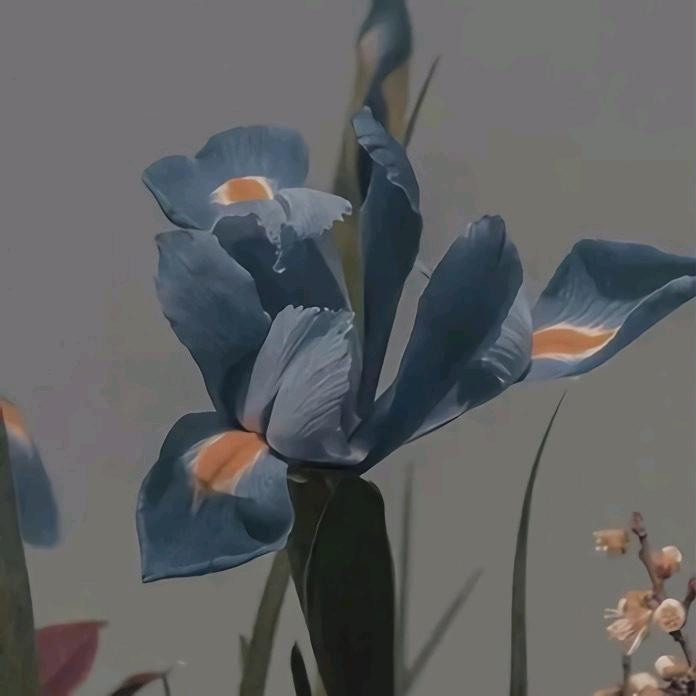小精灵