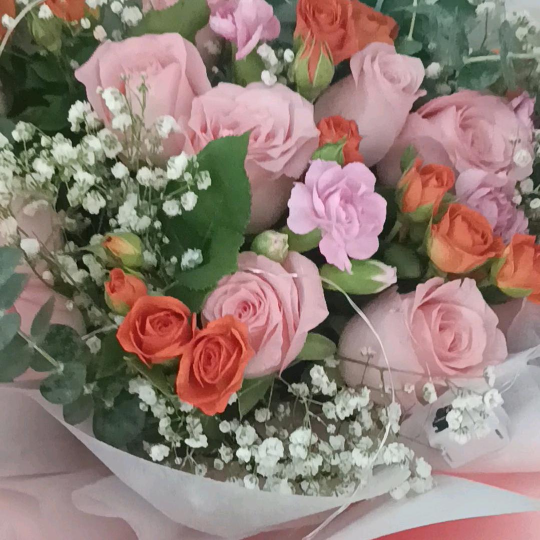 群芳