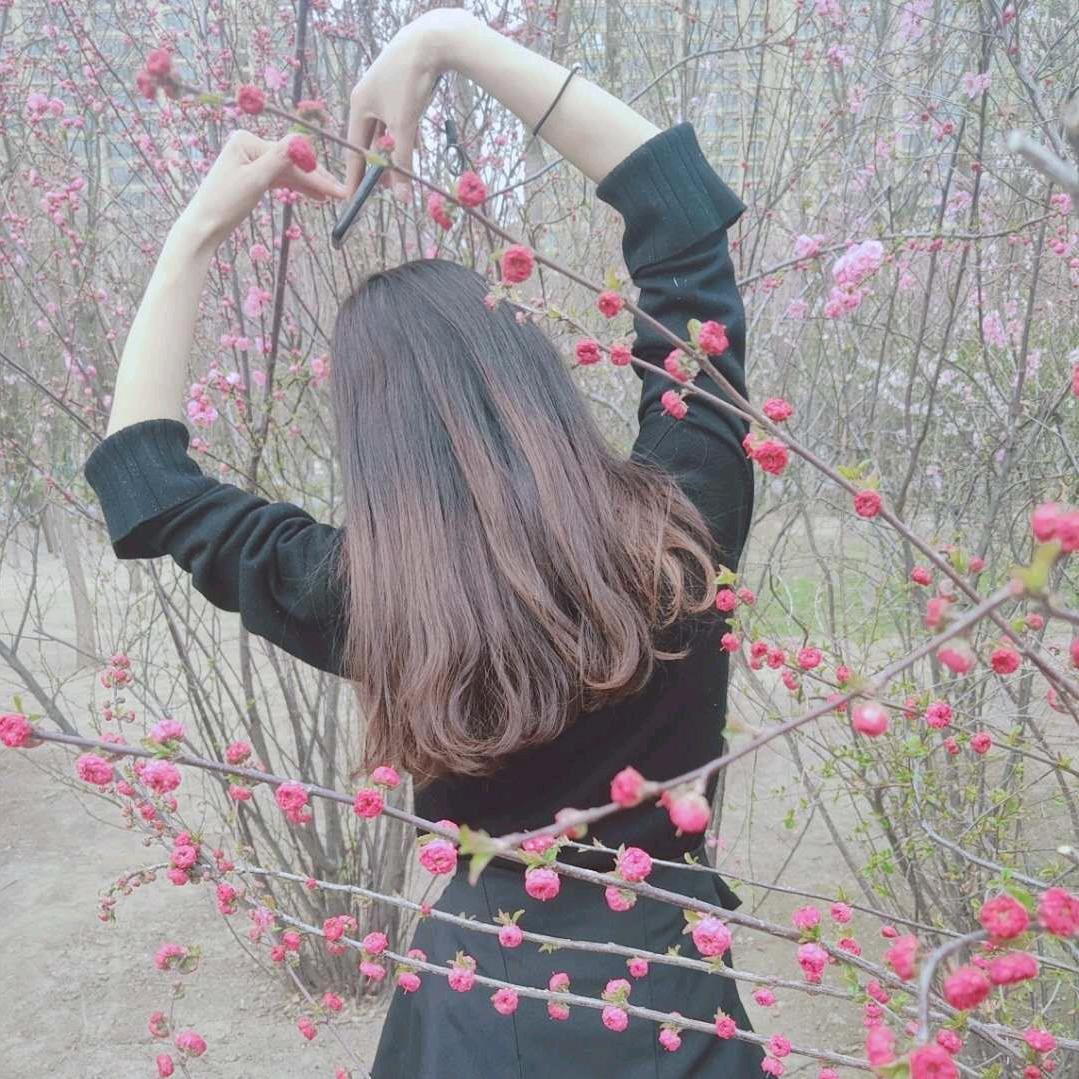 蓝莓*抹茶
